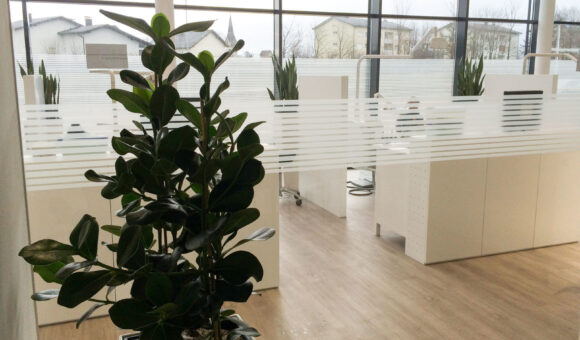 Baudisch Zahnregulierung 1